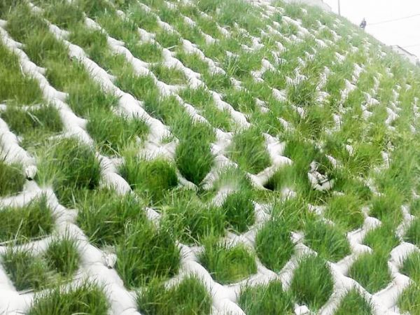 土工膜袋施工現(xiàn)場(chǎng)