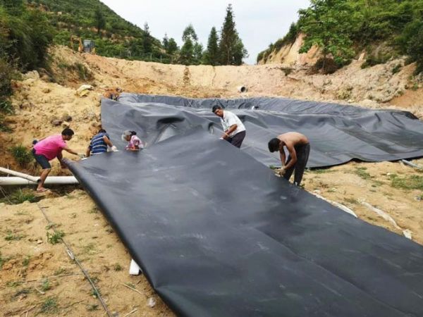 土工膜魚塘施工現(xiàn)場