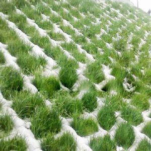 土工膜袋施工現(xiàn)場(chǎng)