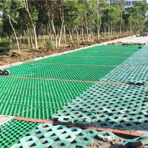 植草格施工現(xiàn)場(chǎng)