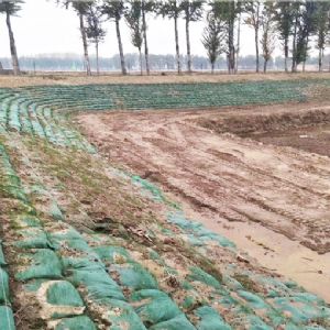 生態(tài)袋施工中
