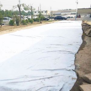 路面養(yǎng)護(hù)用土工布應(yīng)用圖