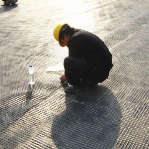 玻纖格柵施工中