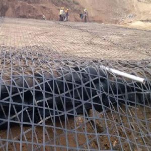 鋼塑土工格柵施工中