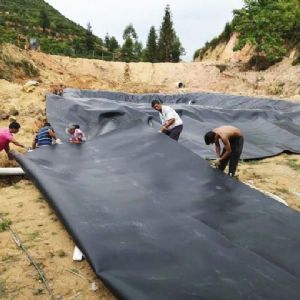 土工膜魚塘施工現(xiàn)場