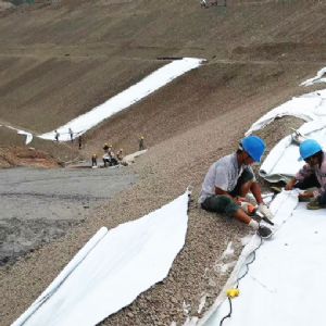 垃圾填埋場復(fù)合膜施工現(xiàn)場