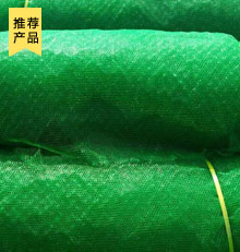 三維植被網(wǎng)