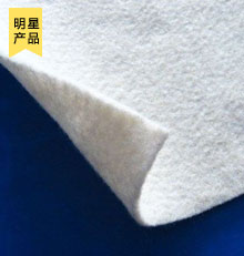 短纖針刺無(wú)紡?fù)凉げ?><ol>短纖針刺無(wú)紡?fù)凉げ?/ol></a></li><li><a href=