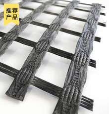 經(jīng)編滌綸土工格柵