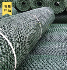 塑料土工網(wǎng)