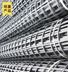 鋼塑復(fù)合土工格柵