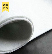 復(fù)合土工膜