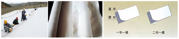 復(fù)合土工膜