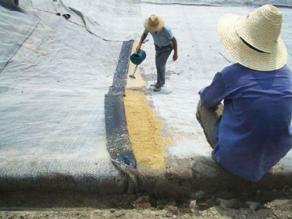 膨潤(rùn)土防水毯冬季施工注意事項(xiàng)