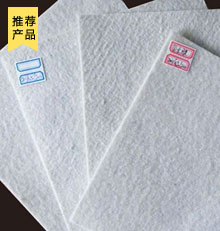 復(fù)合土工膜