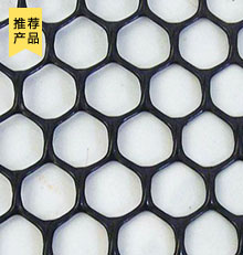 塑料土工網(wǎng)
